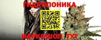 марки nbome Заводоуковск