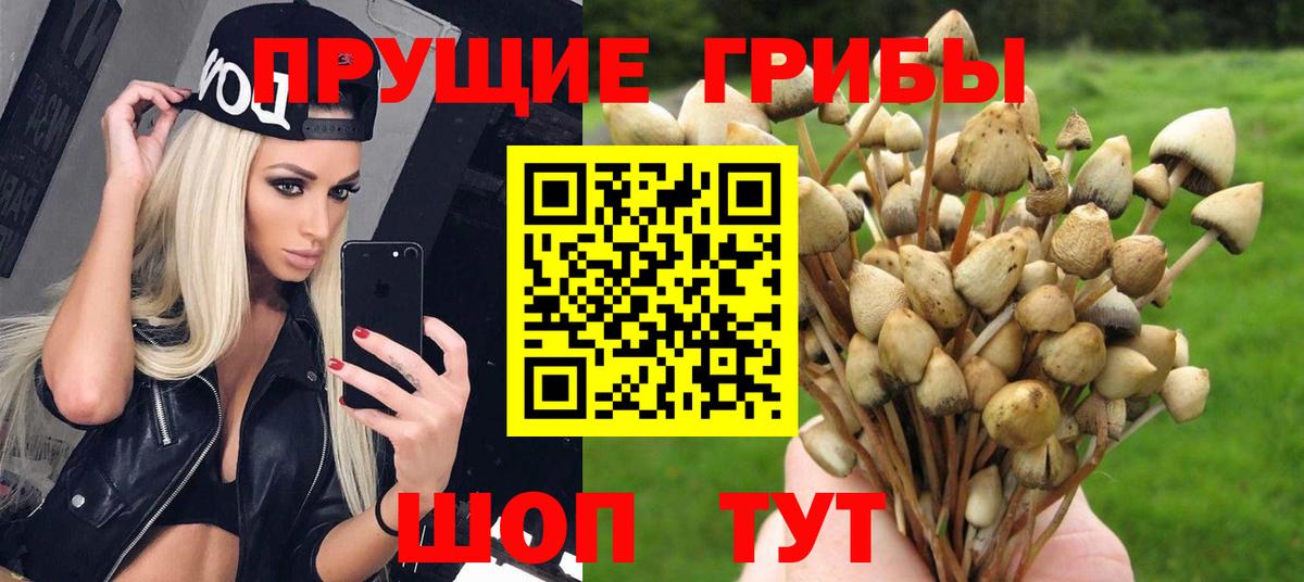 Галлюциногенные грибы Magic Shrooms Курчатов
