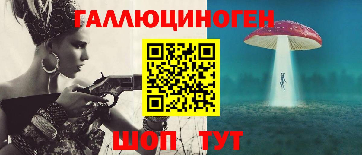 Курчатов  Псилоцибиновые грибы прущие грибы  Вход с VPN 