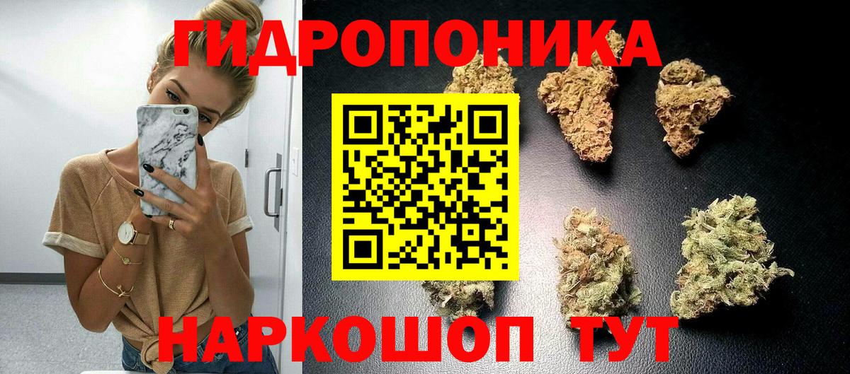 Конопля ГИДРОПОН Курчатов